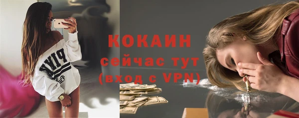 PSILOCYBIN Богданович