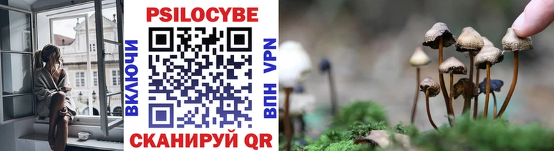 Галлюциногенные грибы мицелий  Купить закладки  Новоуральск 
