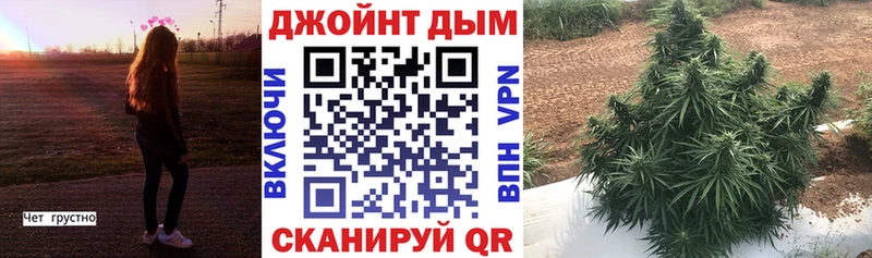 Шишки марихуана OG Kush  Купить закладки  Новоуральск 